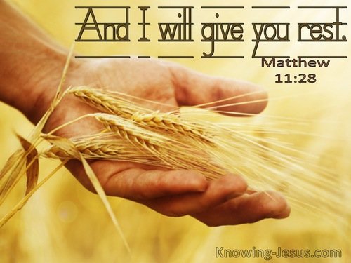 18 Bible Verses About Gods Provision